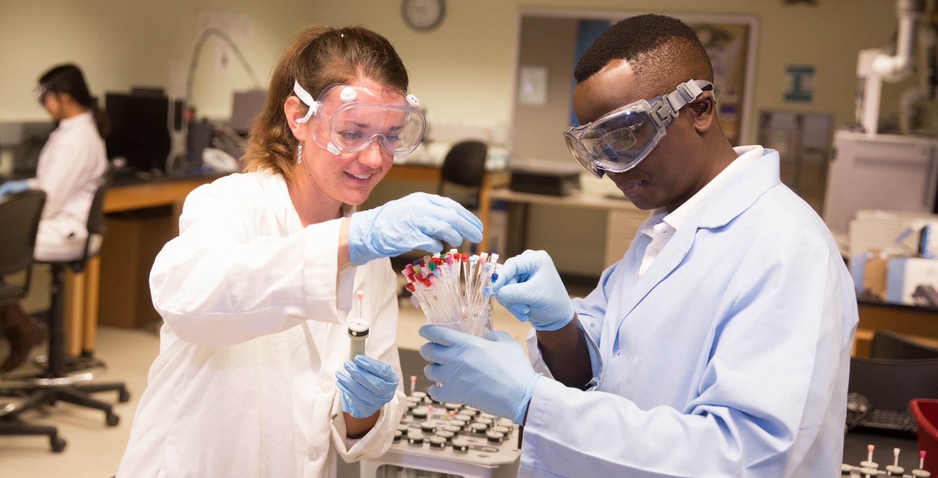 Directed Study and Research