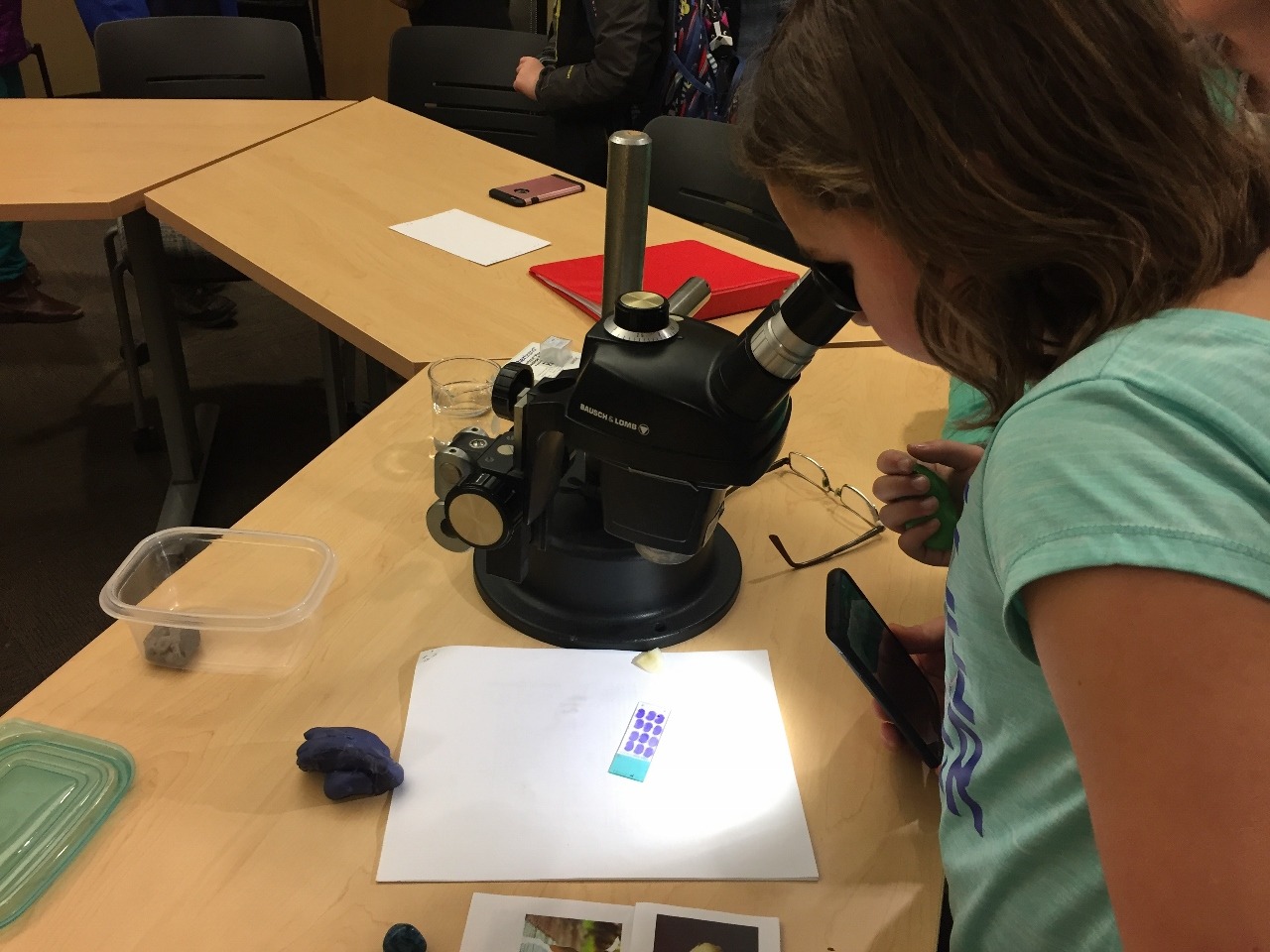 Geneseo Neuroscience at RKids Afterschool Program