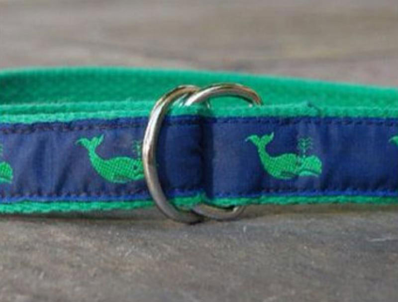 Whale belt