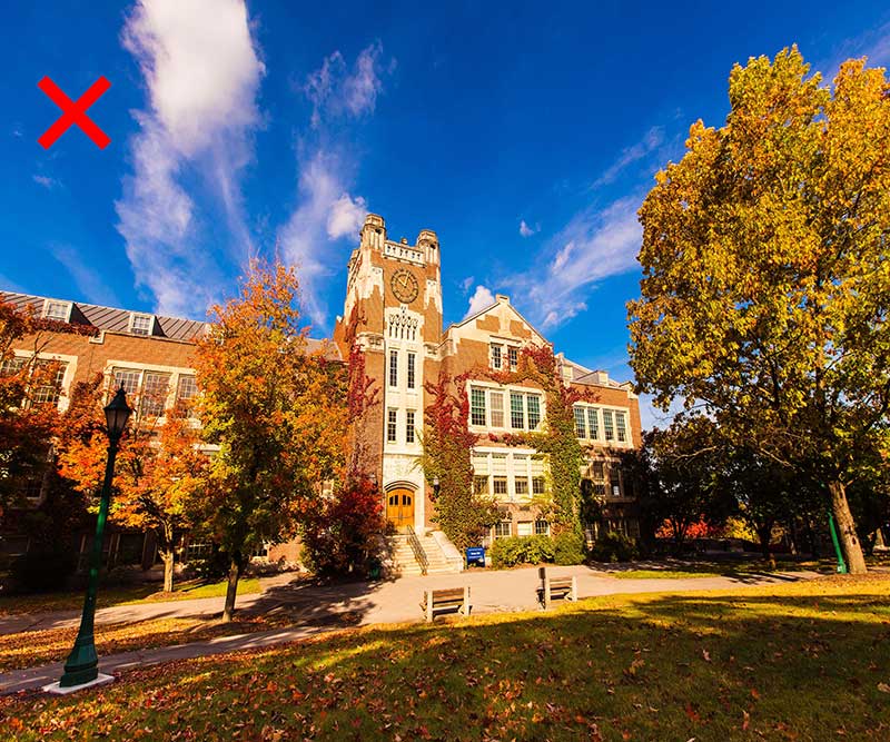 image stretched vertically