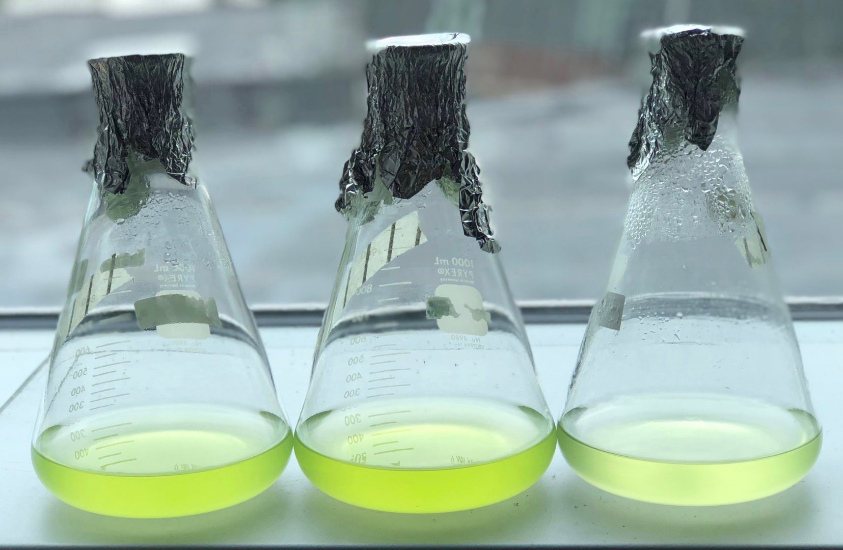Algae flasks on a shelf.