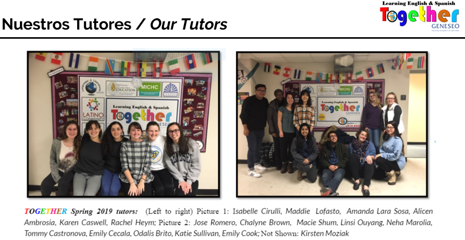 Our Tutors