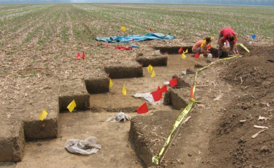 Archaeologists excavate stepped trenches in a field, marking areas with red and yellow flags near unearthed artifacts. Archaeologists excavate stepped trenches in a field, marking areas with red and yellow flags near unearthed artifacts.