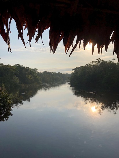 welkerabroadamazon550 welkerabroadamazon550