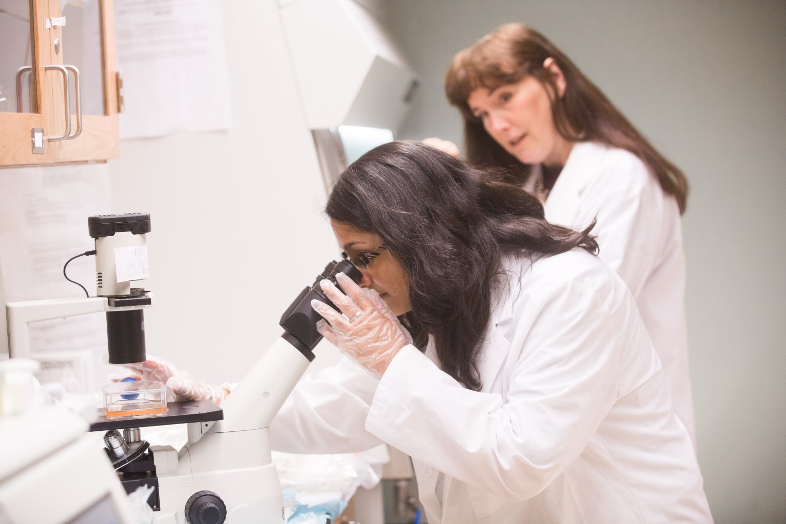 Working with Student in Lab