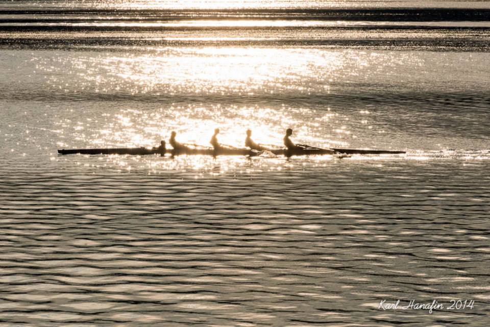 Team rowing on the lake
