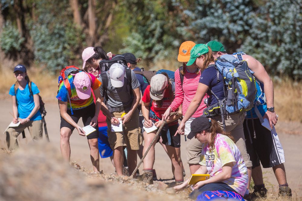 Students Examine a real sample in the real world.