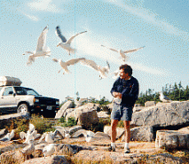 Geneseo's Nuclear Research group on break in Arcadia, Maine