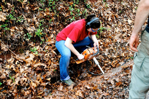 triassic scottsville VA