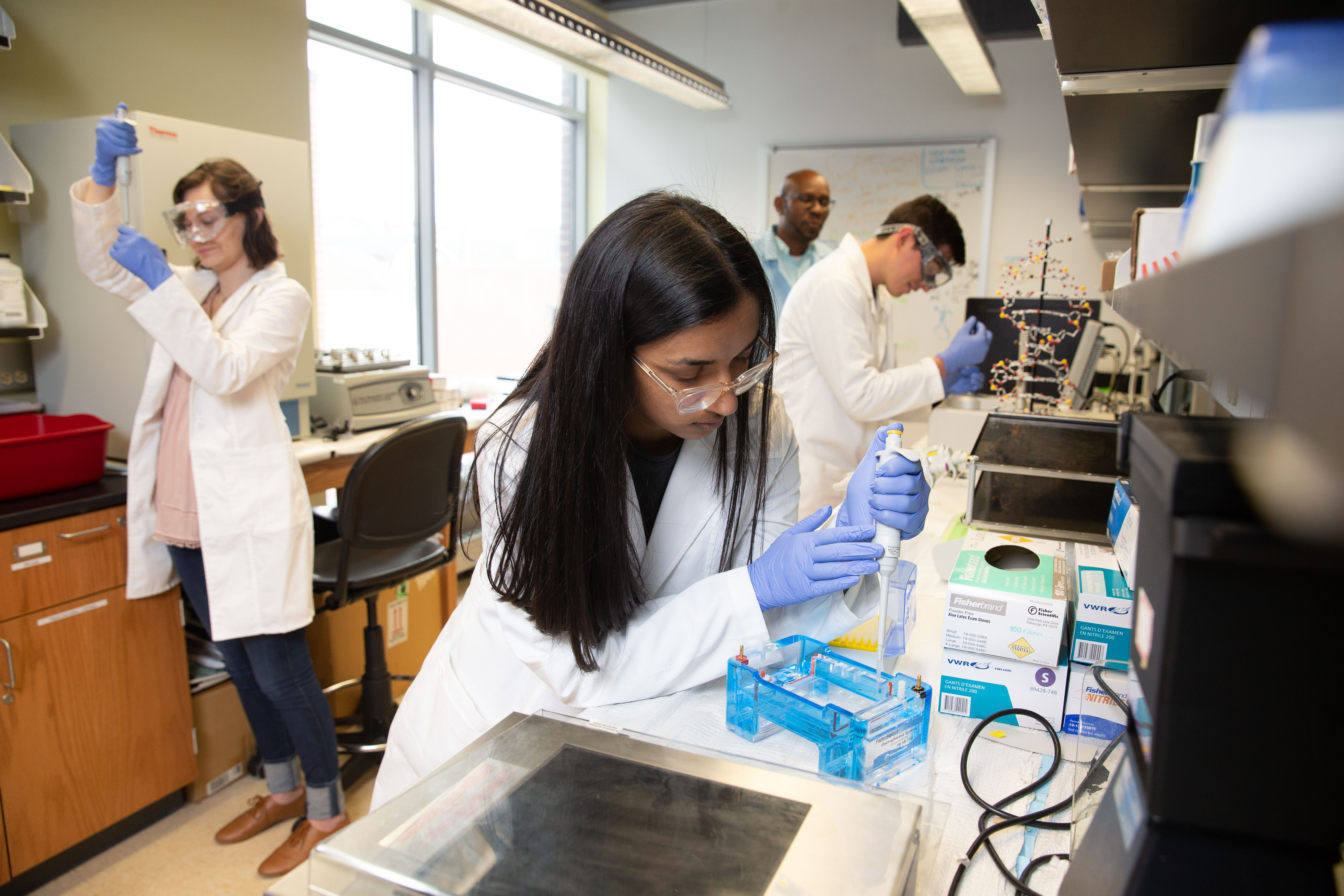 Students conducting research in biochemistry laboratory