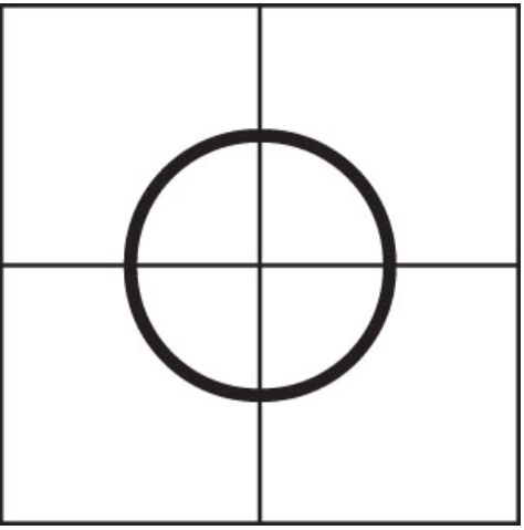 0_1 circle in white background