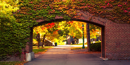Building with fall ivy