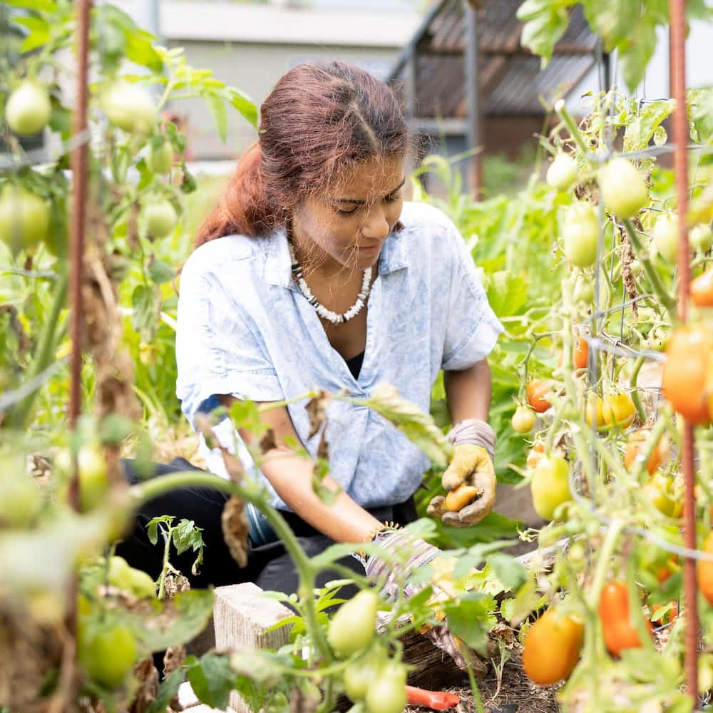 student in geneseo e-garden