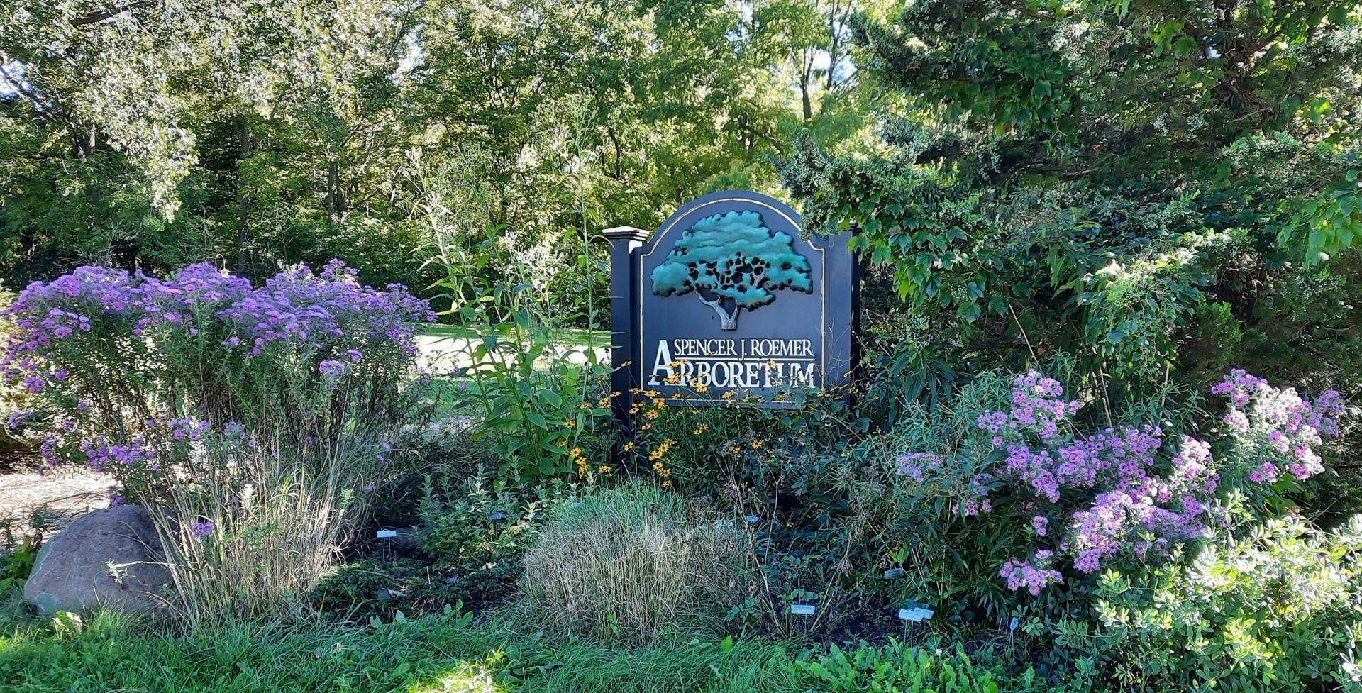 20210919_161232_cropped_sm Over 80 species of native perennials and shrubs are planted in native gardens like the one pictured above.