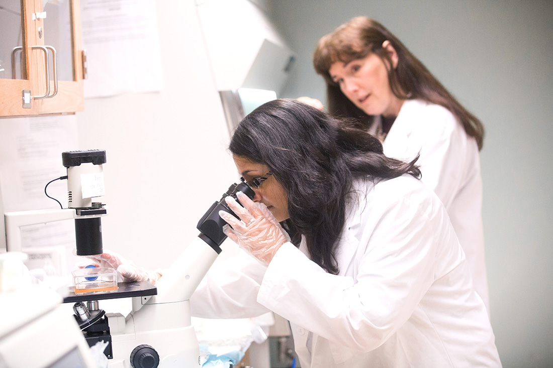 To request a photo please contact Keith Walters at x5870, walters@geneseo.edu