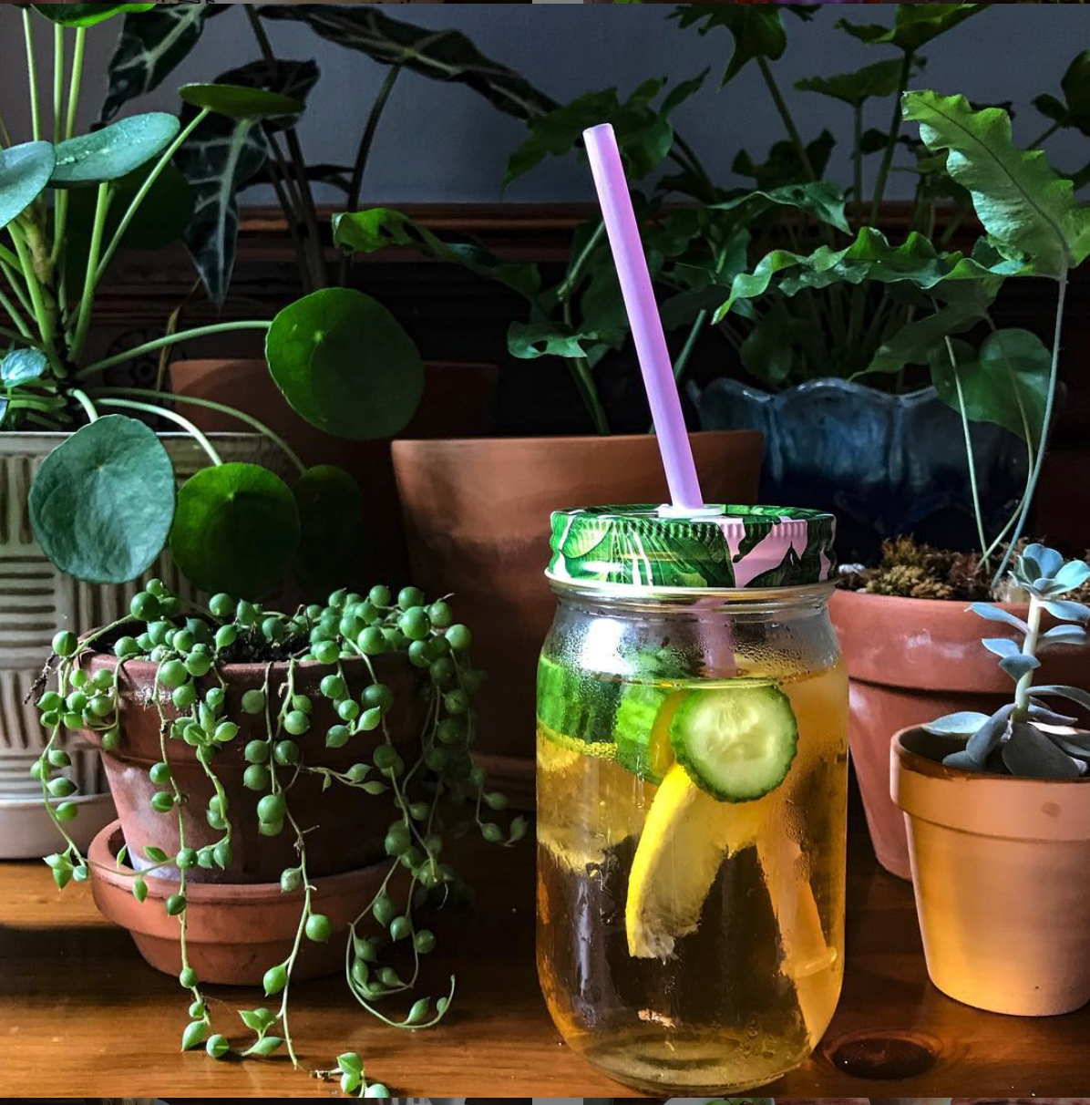 A glass full of cold-brewed tea