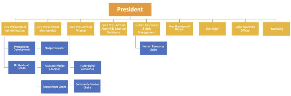 Organization chart of positions, including President, Vice Presidents, and Chairs