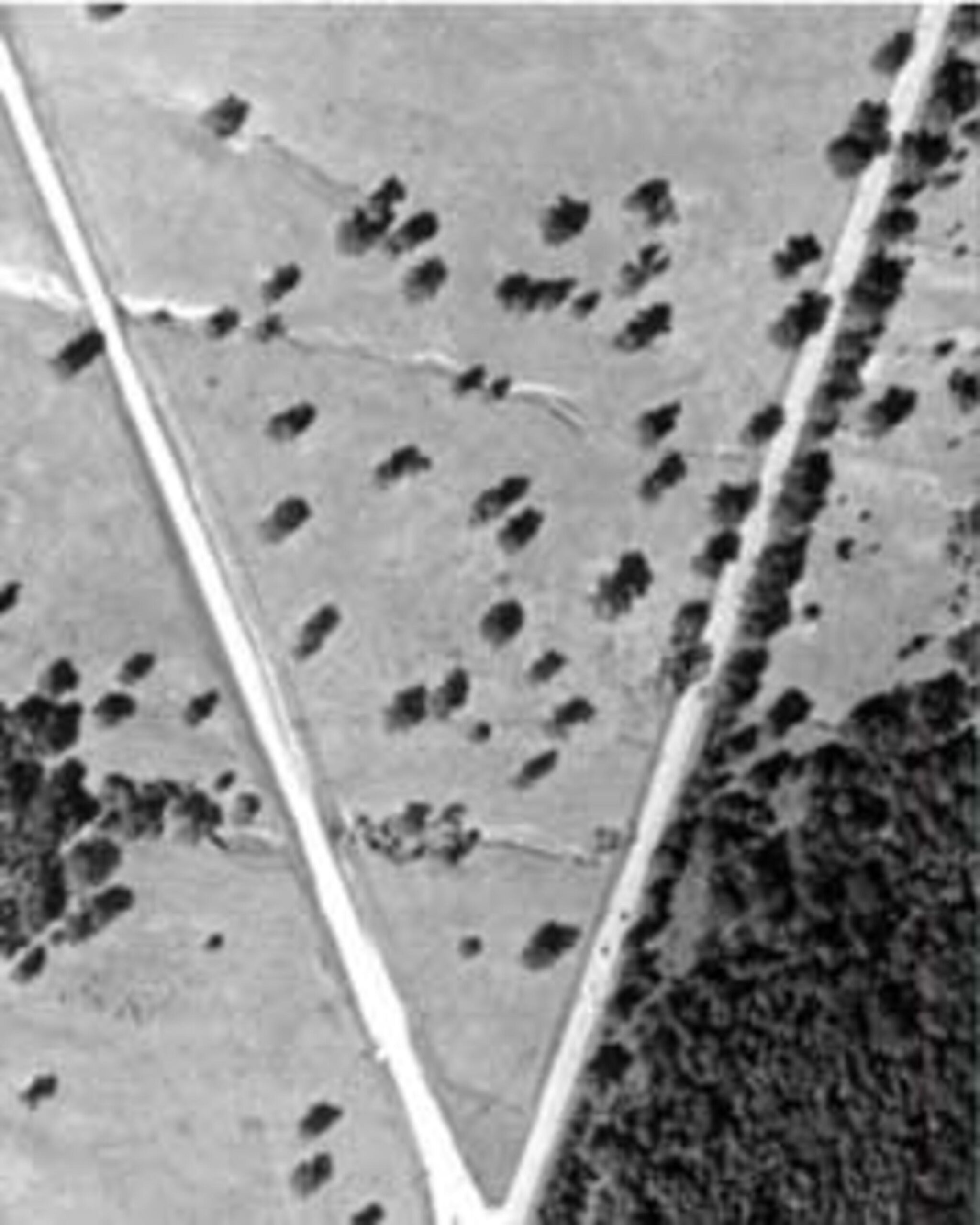 Screenshot Black and white aerial photograph