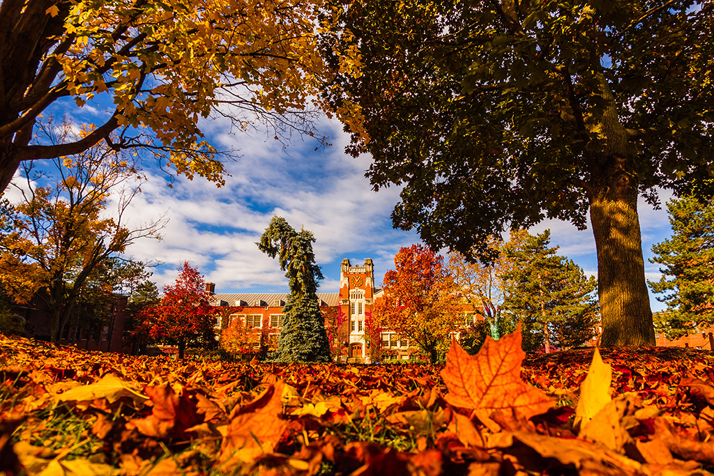 Leaves on the ground frame Sturges Hall and the Sturges Quad on a fall day