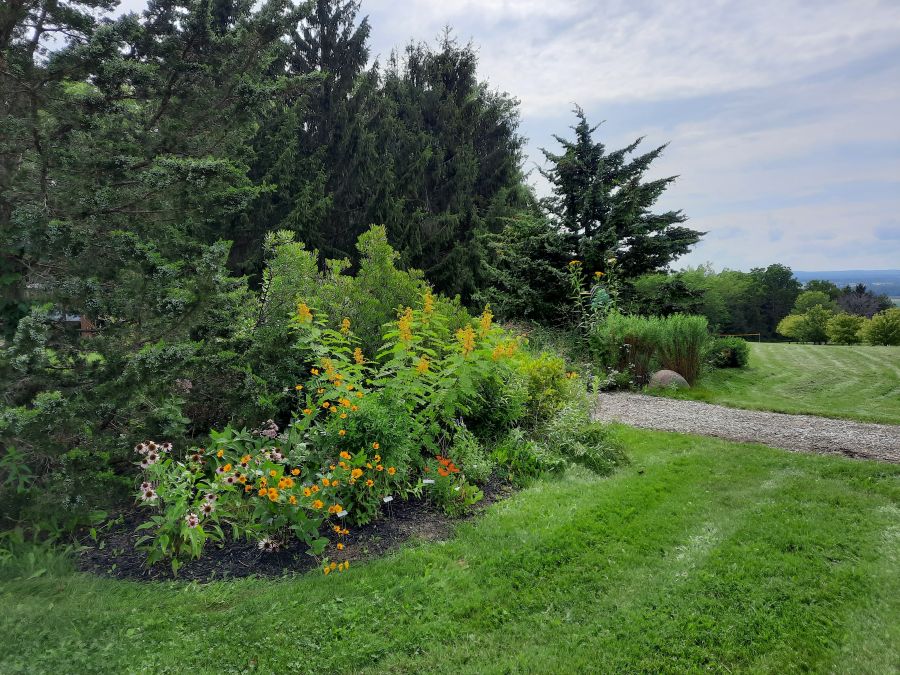 The Arboretum entrance garden