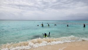 Students snorkel in the waves.