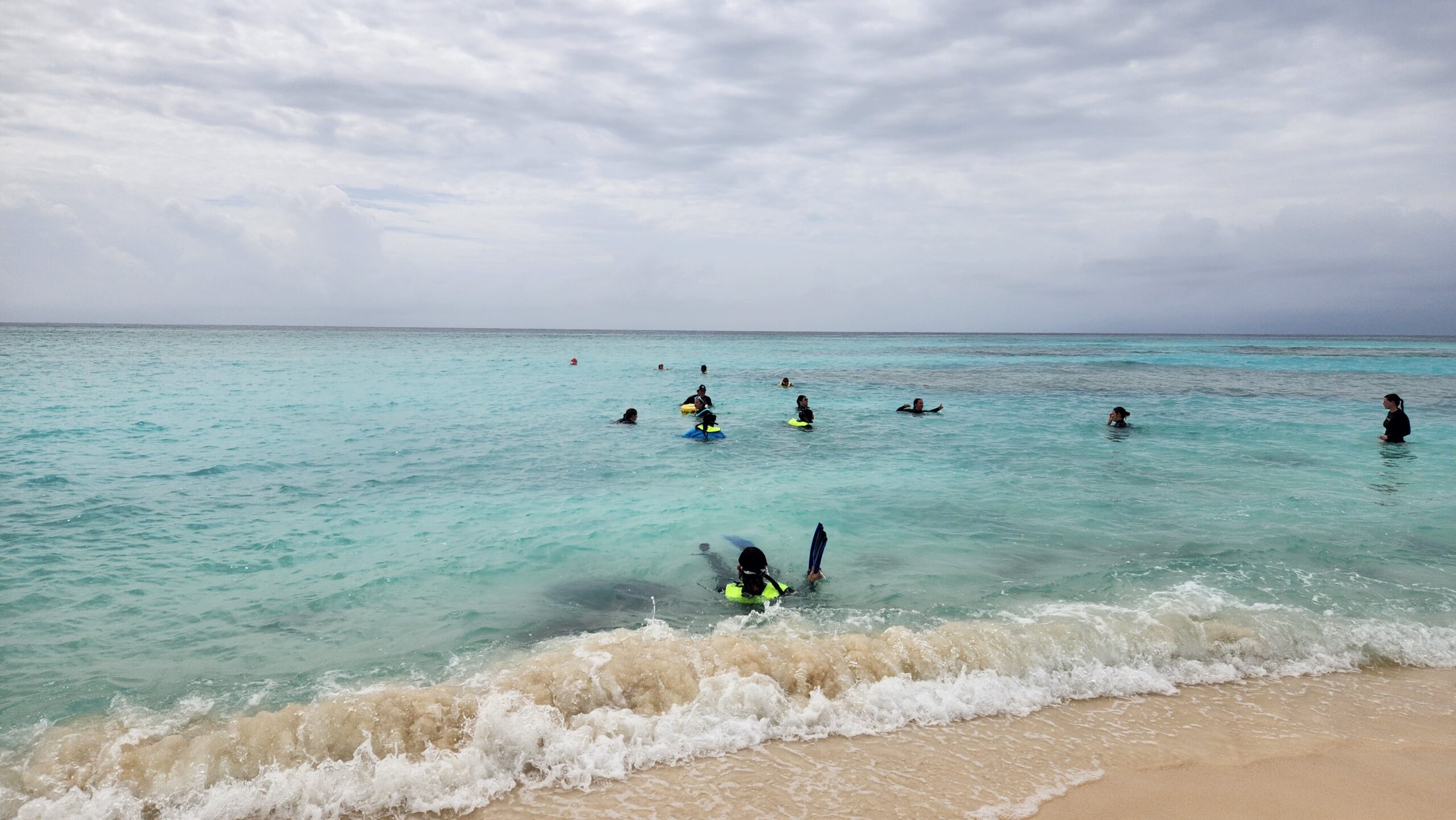 Students snorkel in the waves.