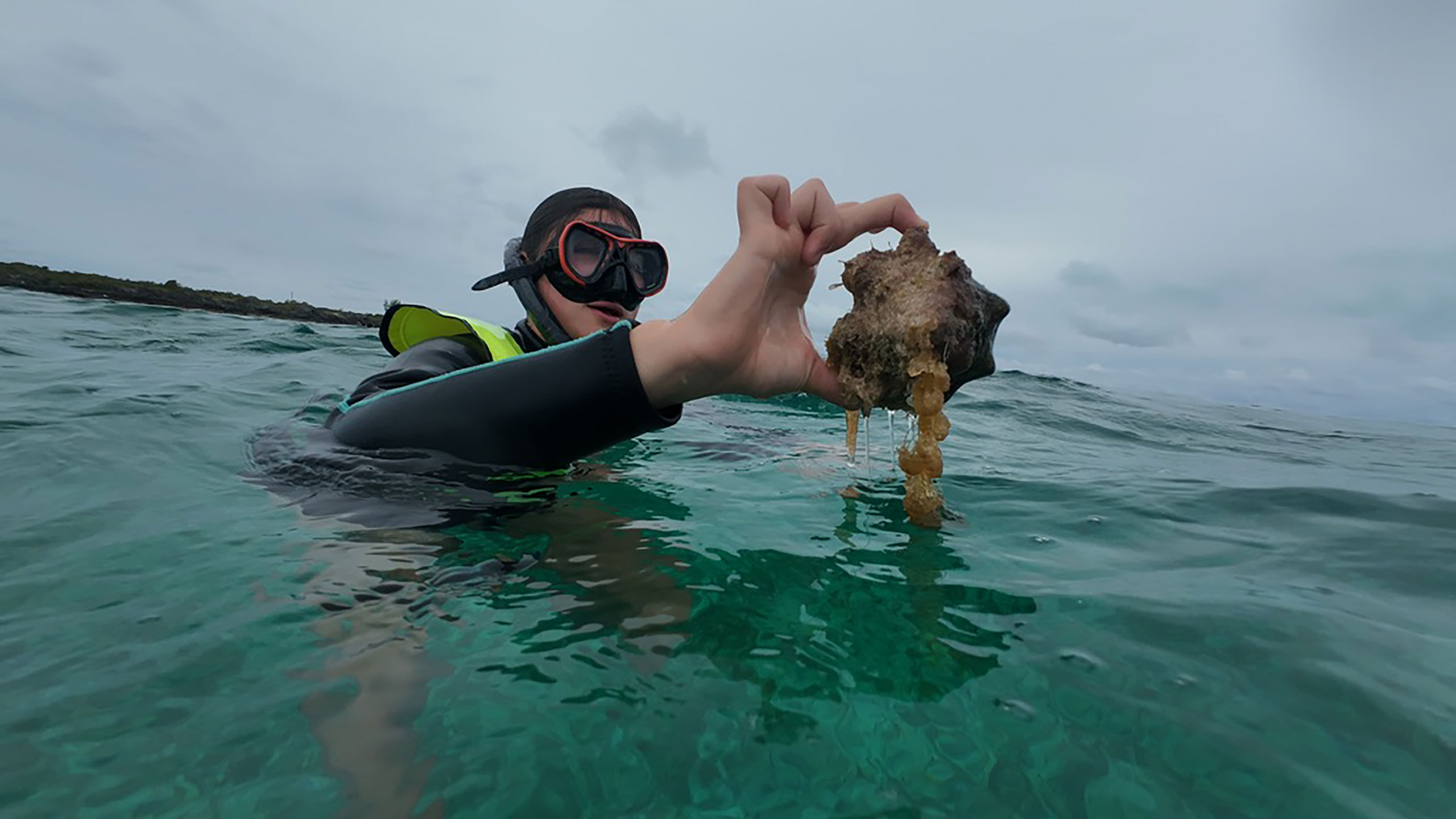 A woman with snorkel and fins holds up a milk conch.