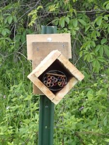 An example of the boxes we use to house artificial nest cavities, or "bee tubes."