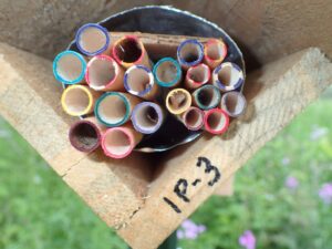 A set of color-coded bee tubes in May when boxes are first set up.