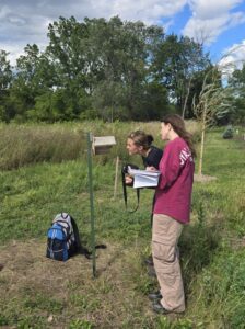 Student researchers (Julia Linfenfelter, left, and Sophia Stang, right) are inspecting one of the bee boxes in late August.