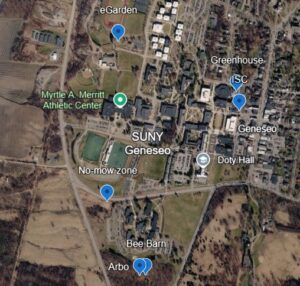 Map of locations of bee boxes on the SUNY Geneseo campus