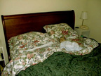 the bed.JPG (10619 bytes)
